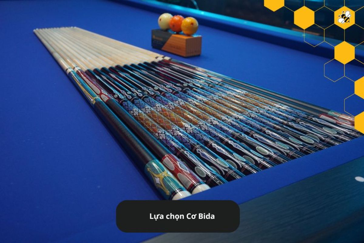 Lựa chọn Cơ Bida