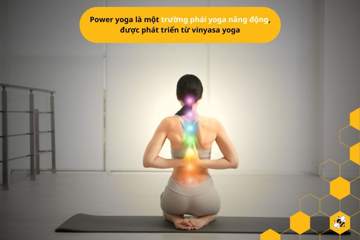 Power yoga là một trường phái yoga năng động, được phát triển từ vinyasa yoga