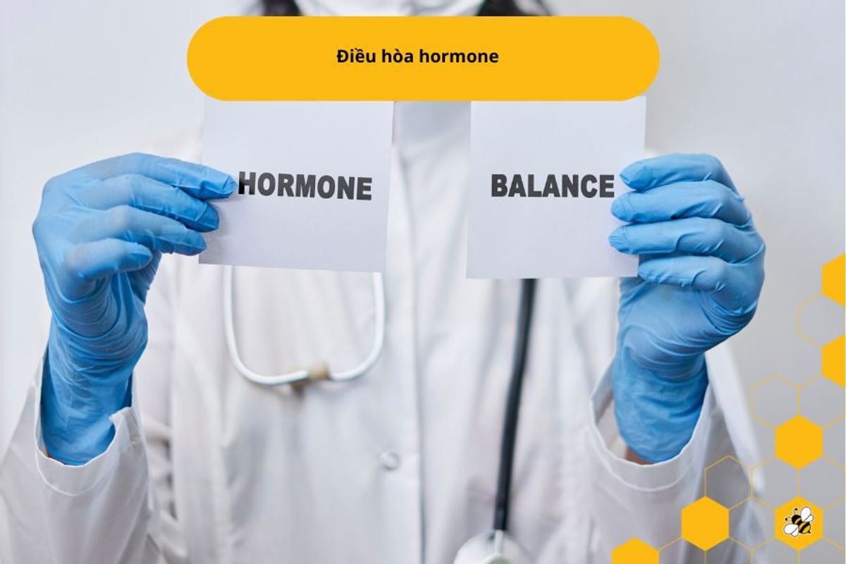 Điều hòa hormone