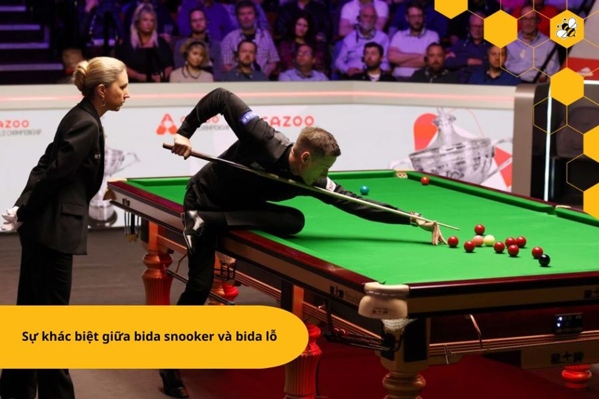 Sự khác biệt giữa bida snooker và bida lỗ