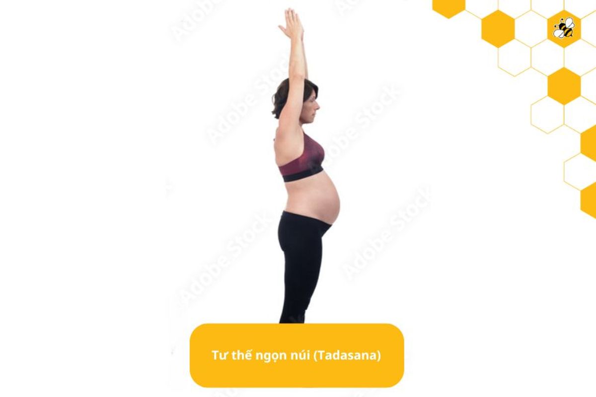 Tư thế ngọn núi (Tadasana)