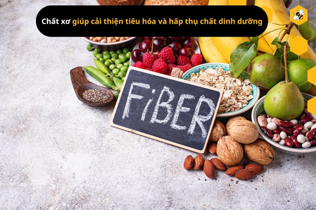 Chất xơ giúp cải thiện tiêu hóa và hấp thụ chất dinh dưỡng