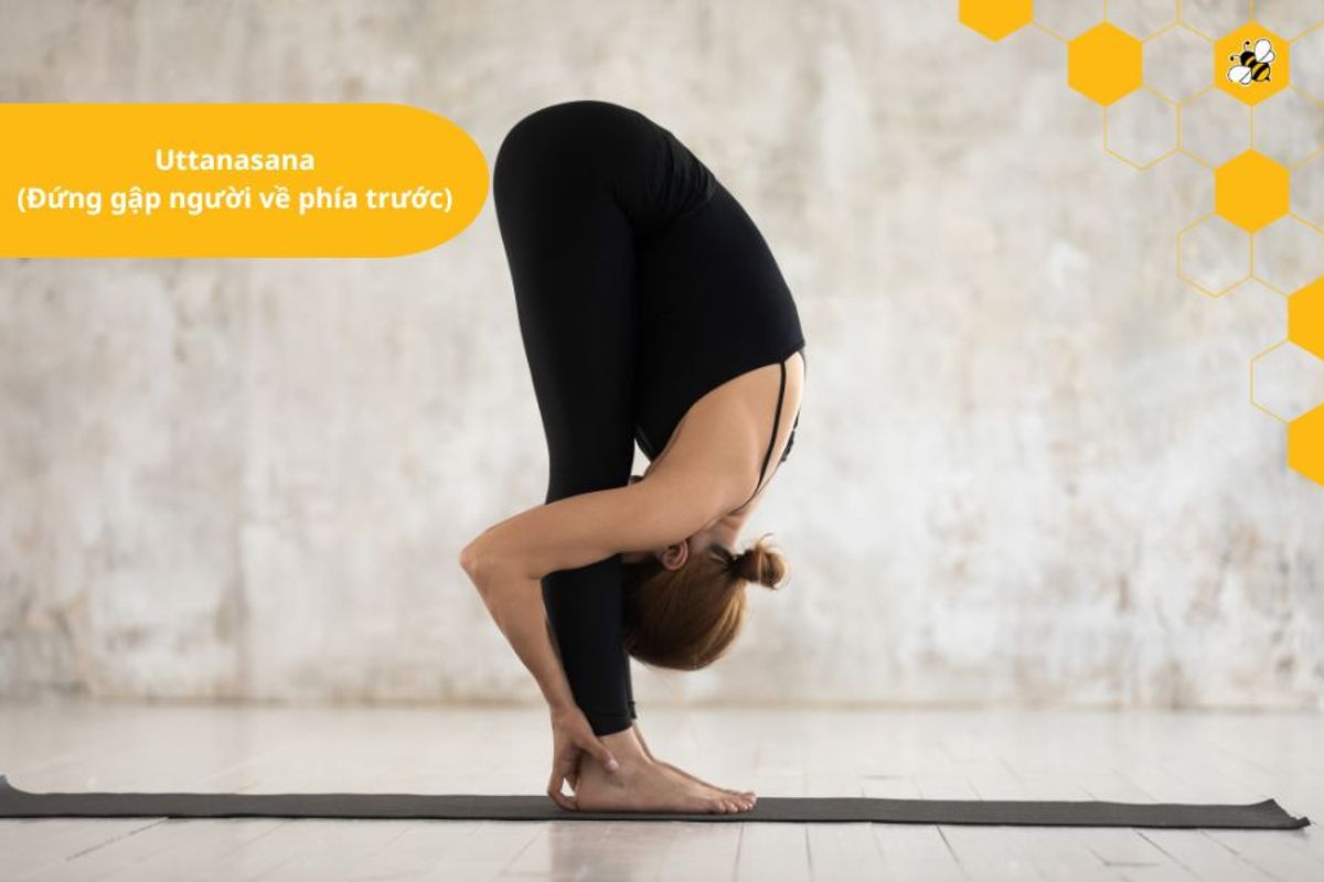 Uttanasana (Đứng gập người về phía trước)