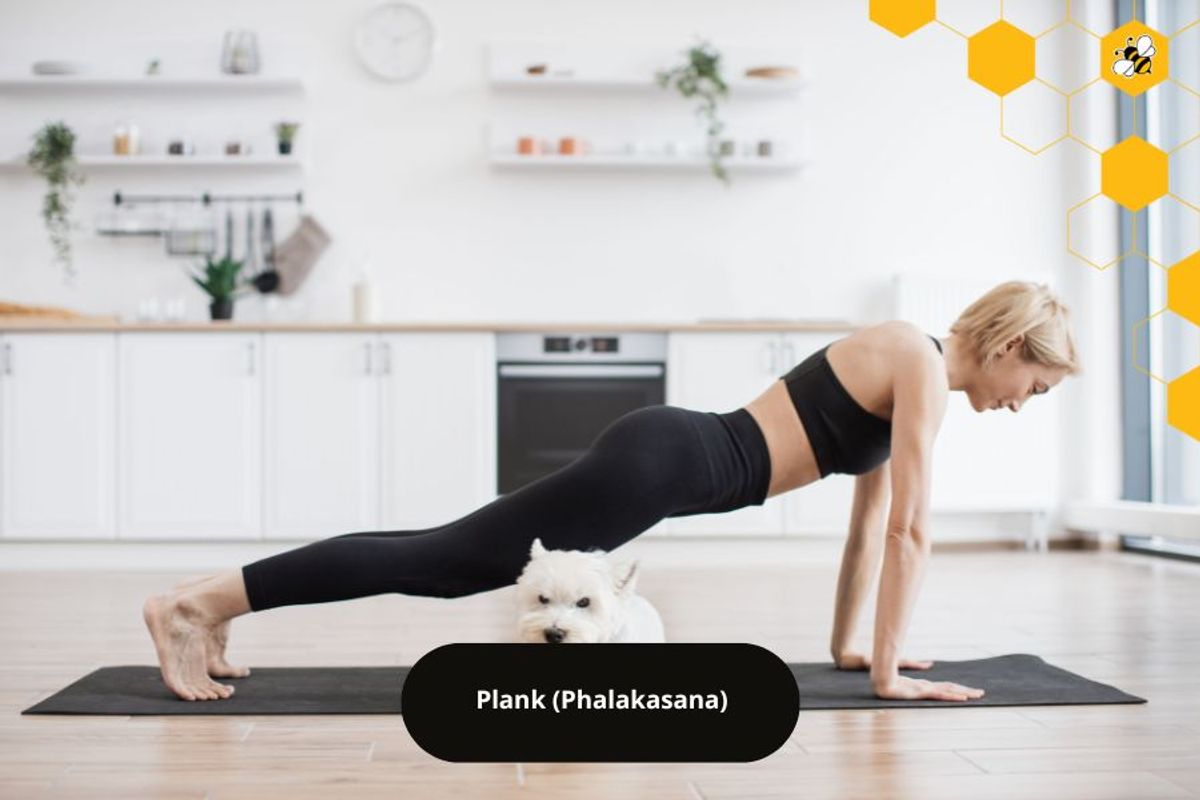 Plank (Phalakasana)