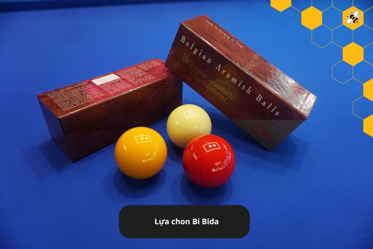 Lựa chon Bi Bida