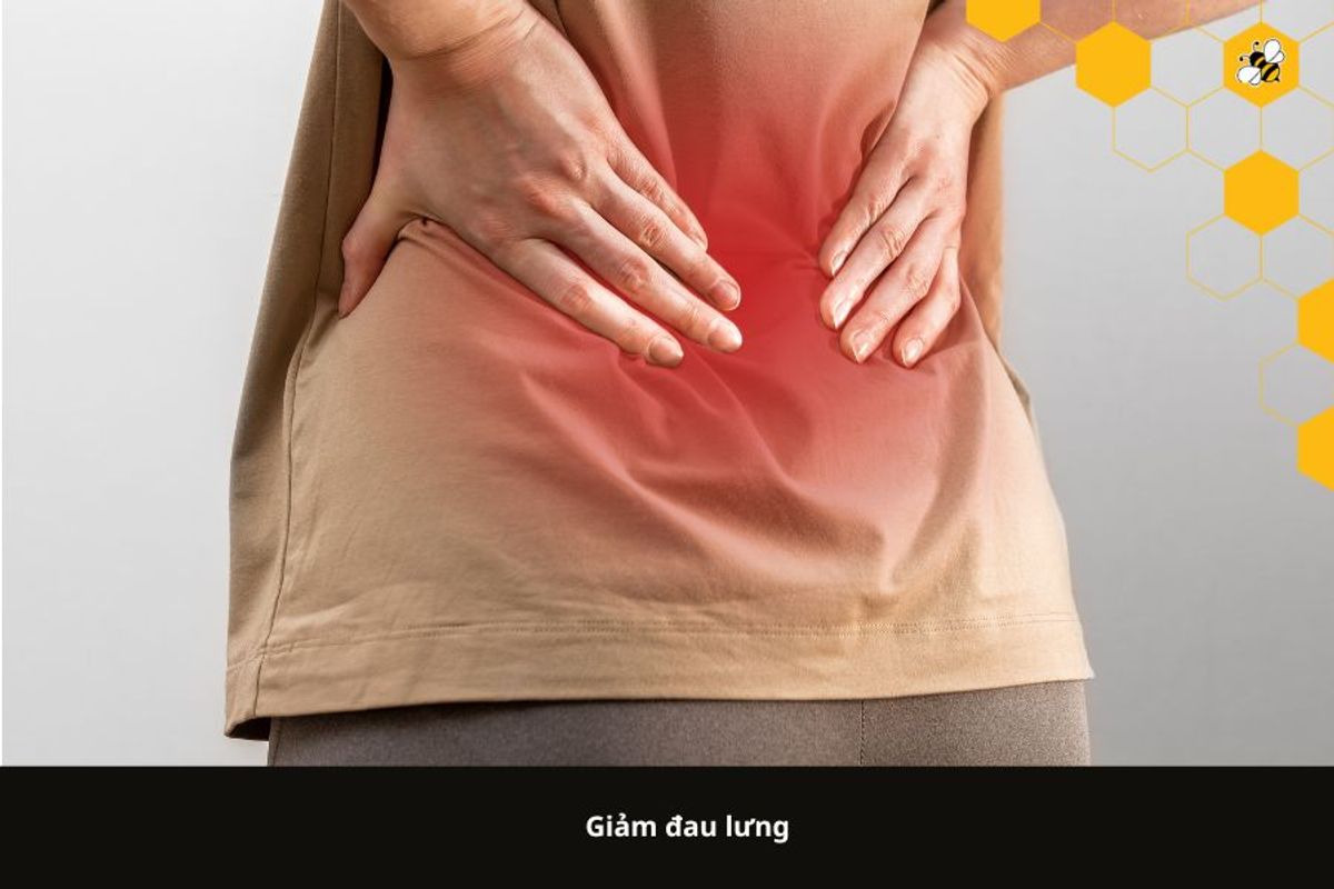 Giảm đau lưng