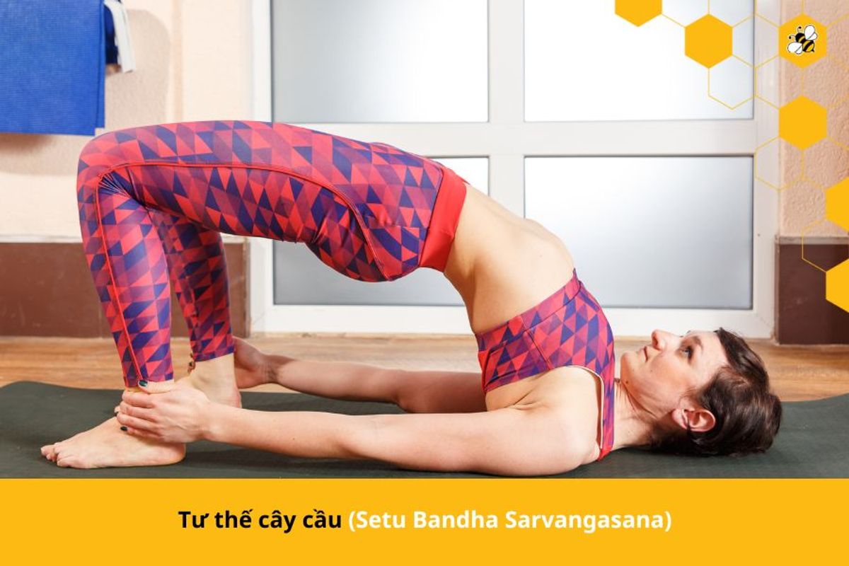 Tư thế cây cầu (Setu Bandha Sarvangasana)