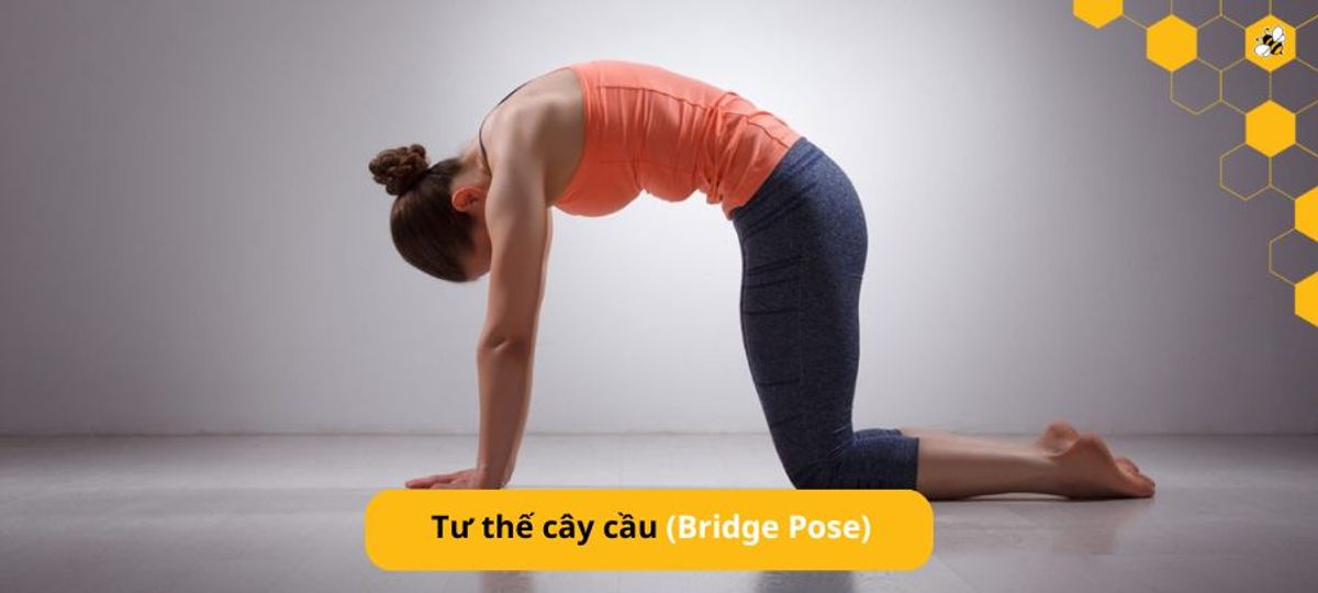 Tư thế cây cầu (Bridge Pose)