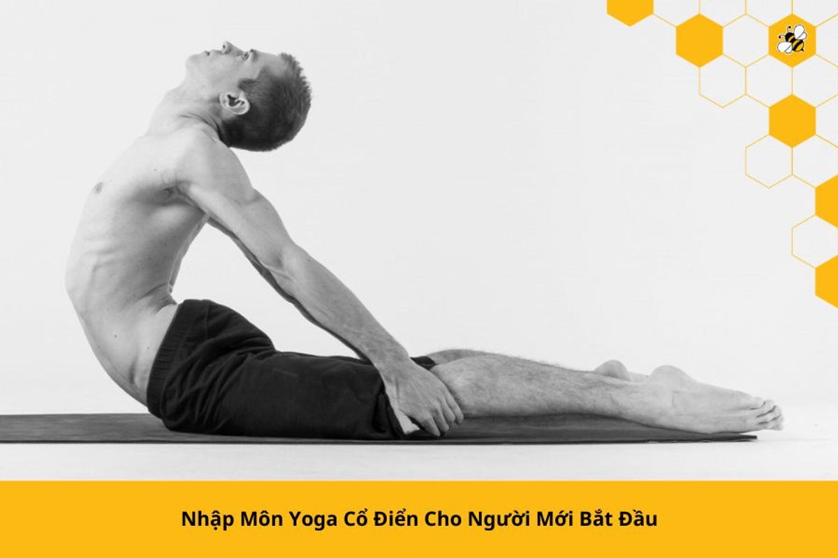 Nhập Môn Yoga Cổ Điển Cho Người Mới Bắt Đầu