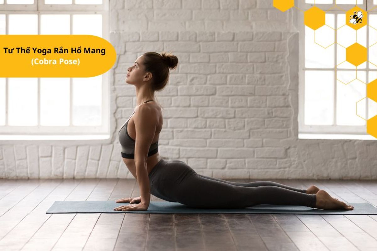 Tư Thế Yoga Rắn Hổ Mang  (Cobra Pose)