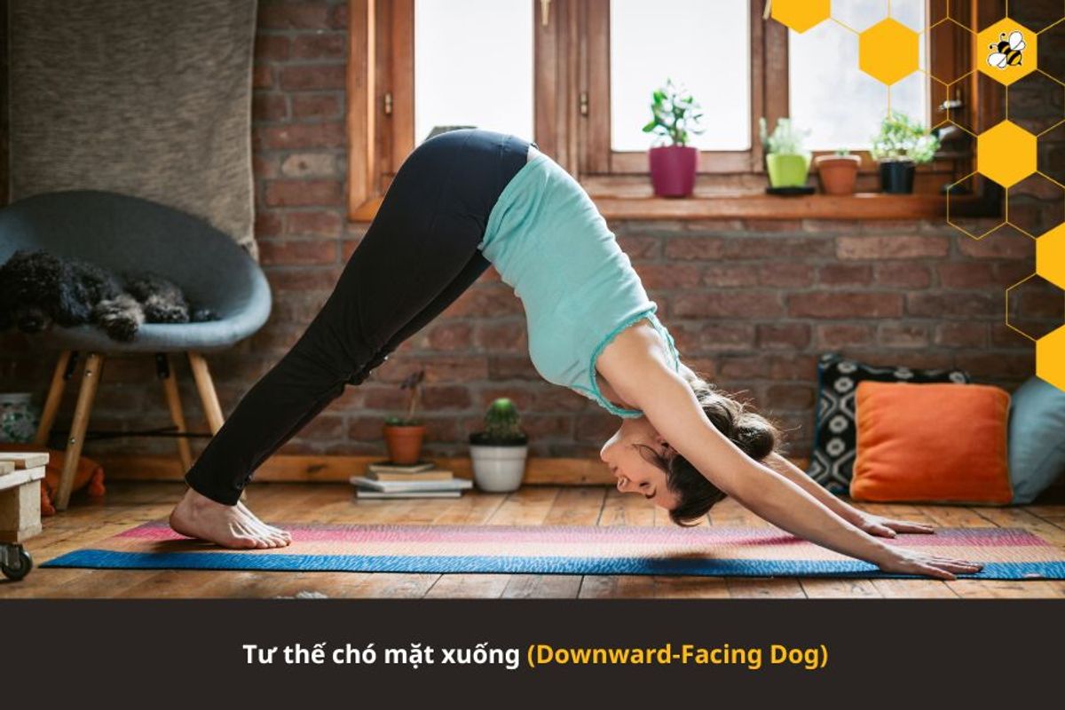 Tư thế chó mặt xuống (Downward-Facing Dog)