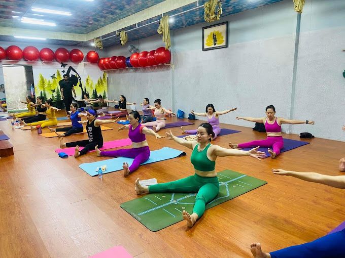 Yoga Bốn mùa khỏe