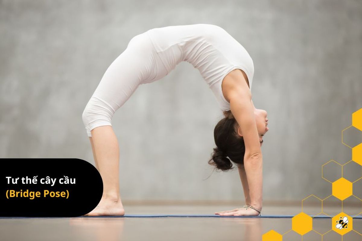 Tư thế cây cầu  (Bridge Pose)