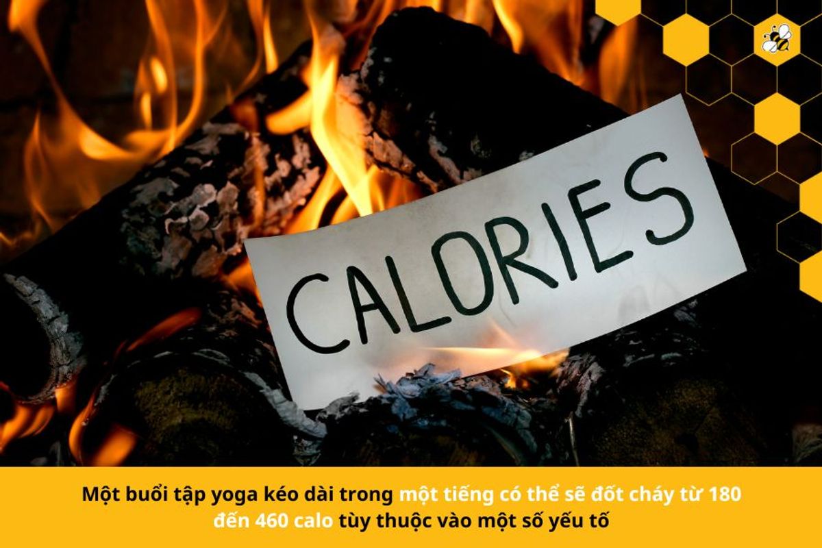 Một buổi tập yoga kéo dài trong một tiếng có thể sẽ đốt cháy từ 180 đến 460 calo tùy thuộc vào một số yếu tố