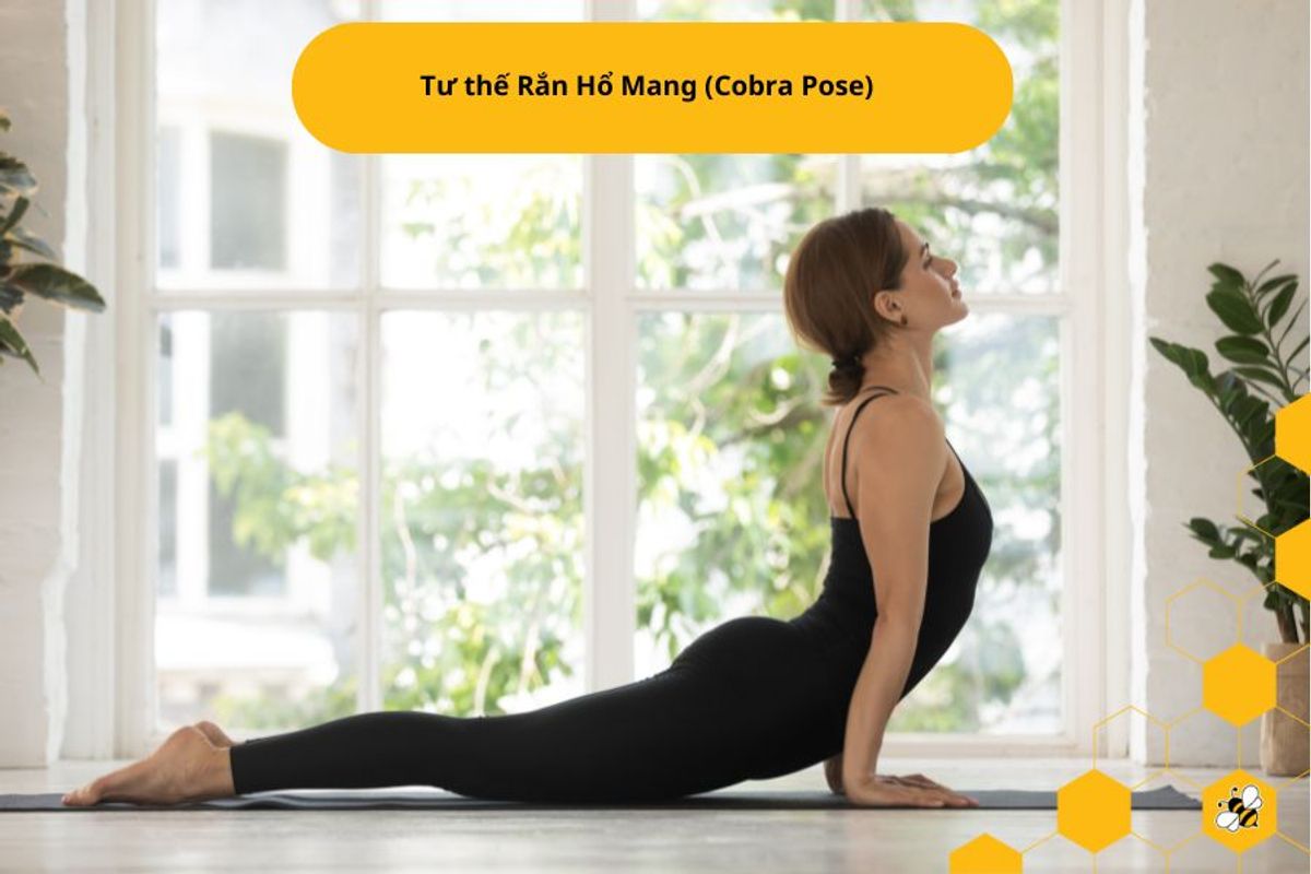 Tư thế Rắn Hổ Mang (Cobra Pose)