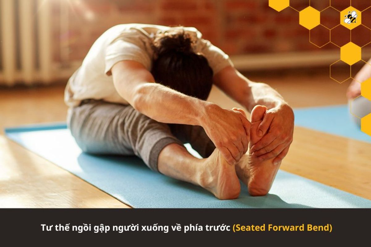 Tư thế ngồi gập người xuống về phía trước (Seated Forward Bend)