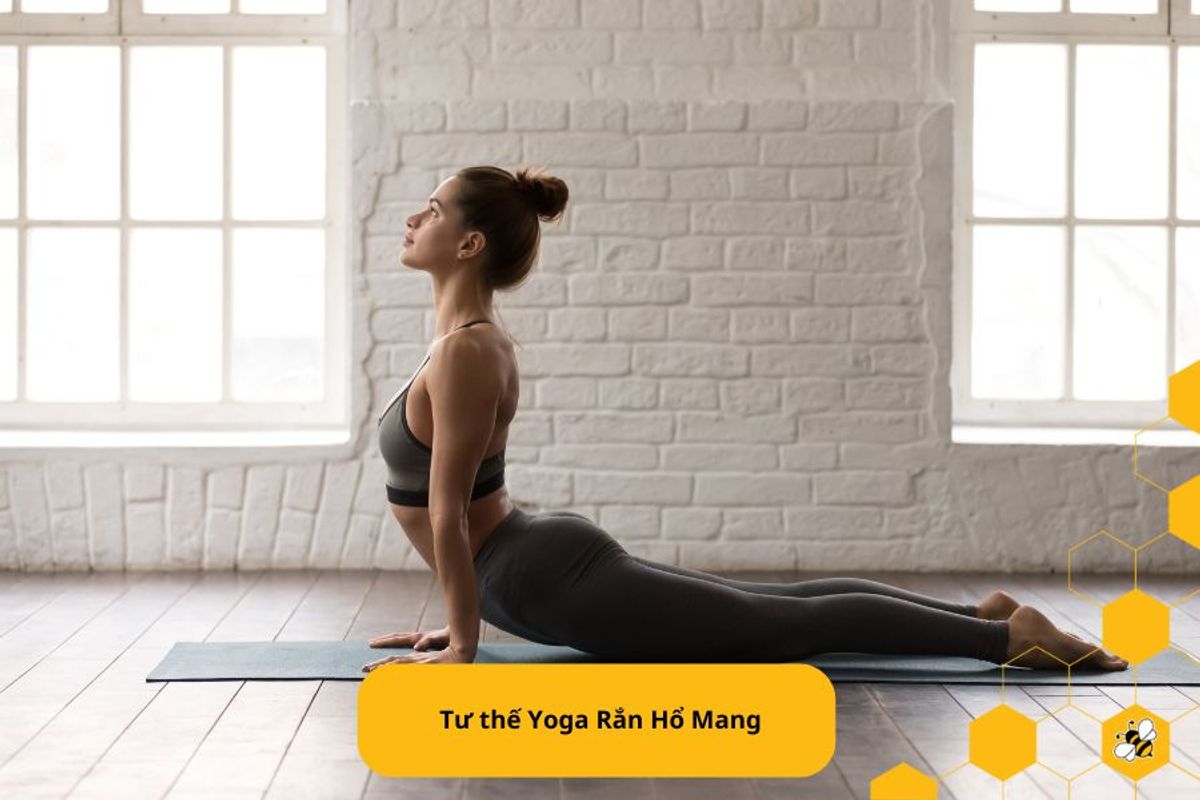 Tư thế Yoga Rắn Hổ Mang