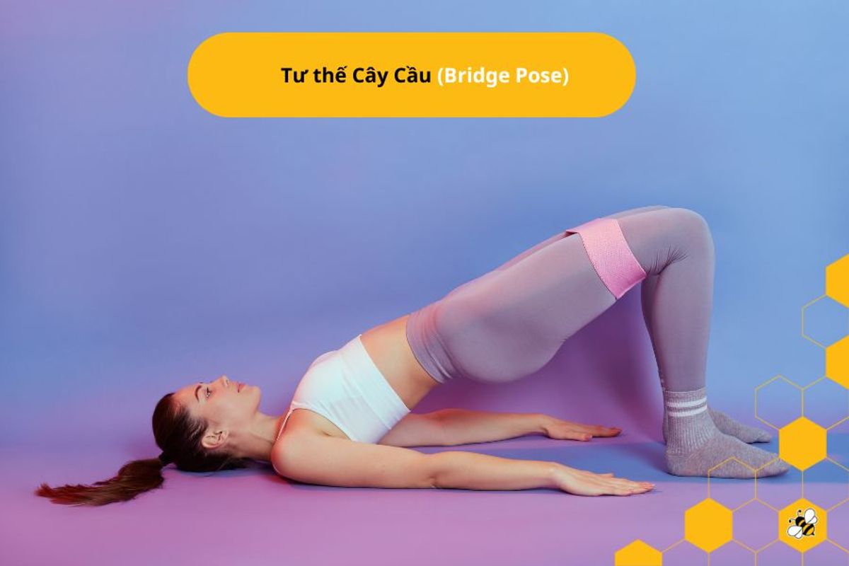 Tư thế Cây Cầu (Bridge Pose)