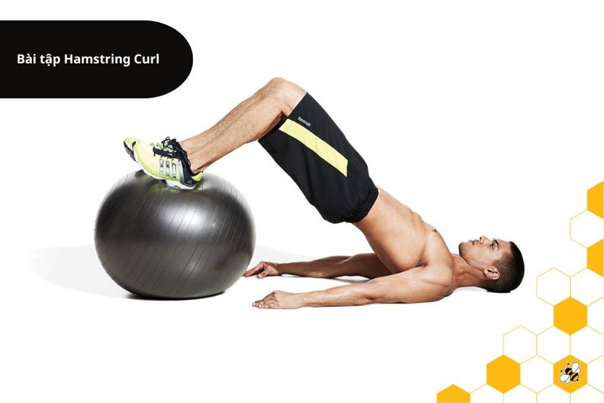 Bài tập Hamstring Curl