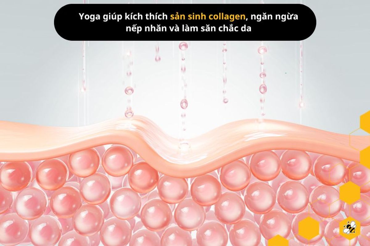 Yoga giúp kích thích sản sinh collagen, ngăn ngừa nếp nhăn và làm săn chắc da