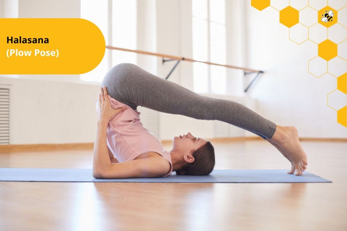 Halasana (Plow Pose)