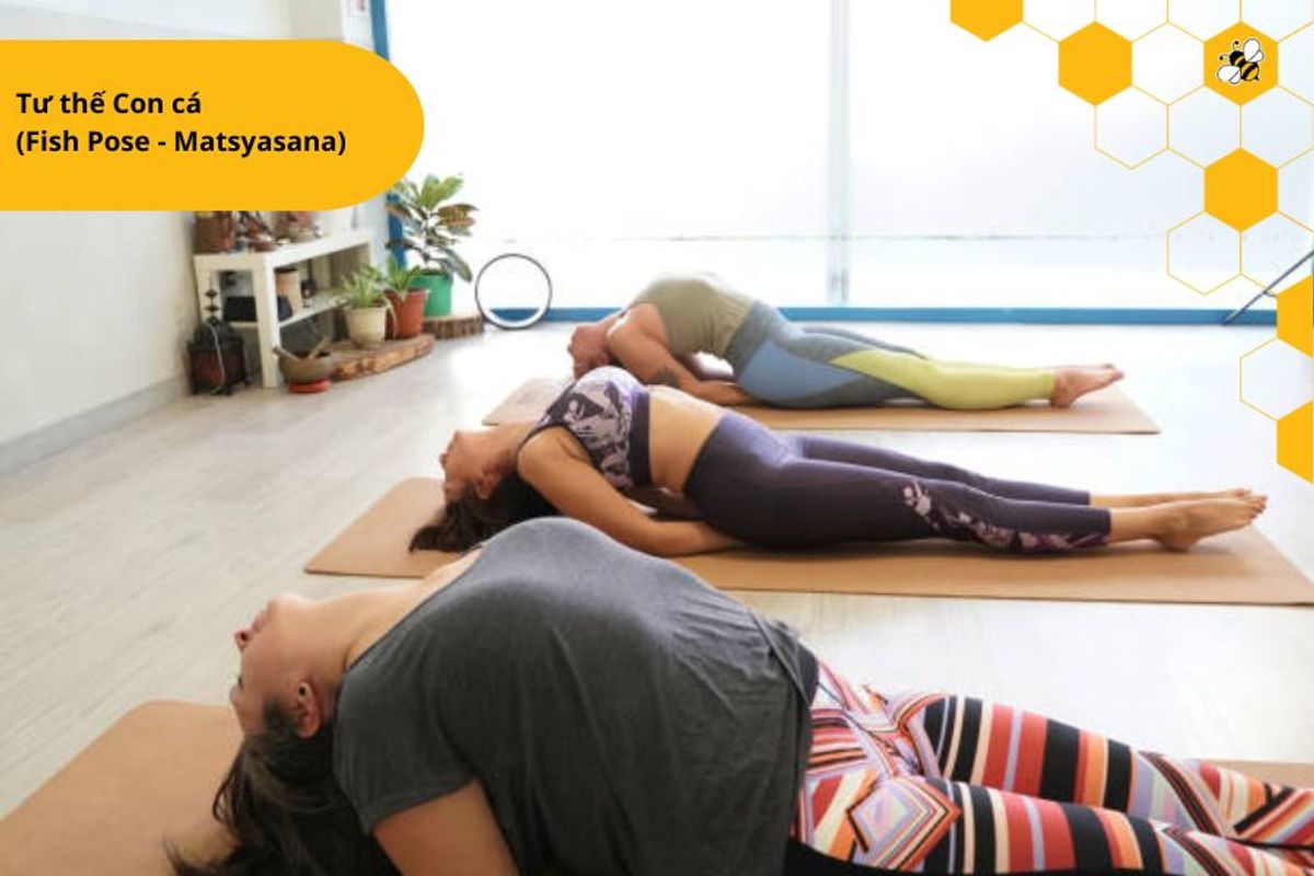 Tư thế Con cá (Fish Pose - Matsyasana)