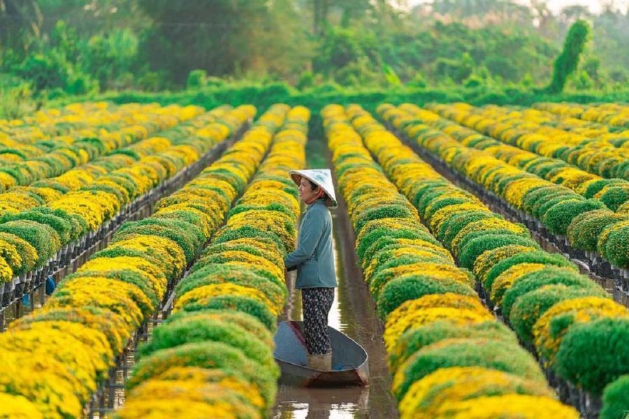 Sân cầu lông tỉnh Đồng Tháp