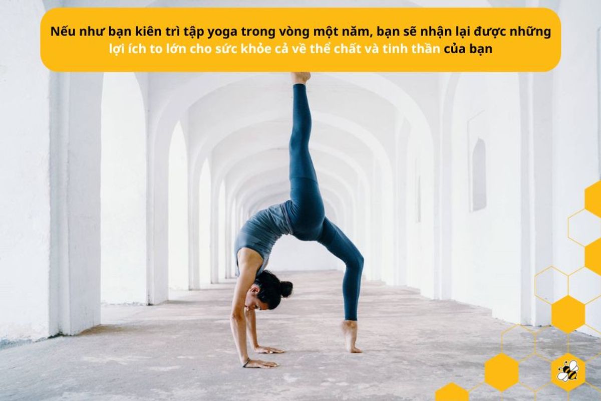 Nếu như bạn kiên trì tập yoga trong vòng một năm