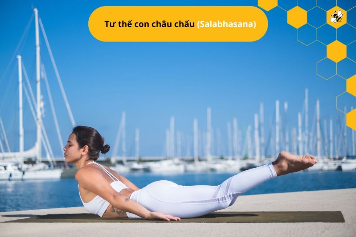 Tư thế con châu chấu (Salabhasana)