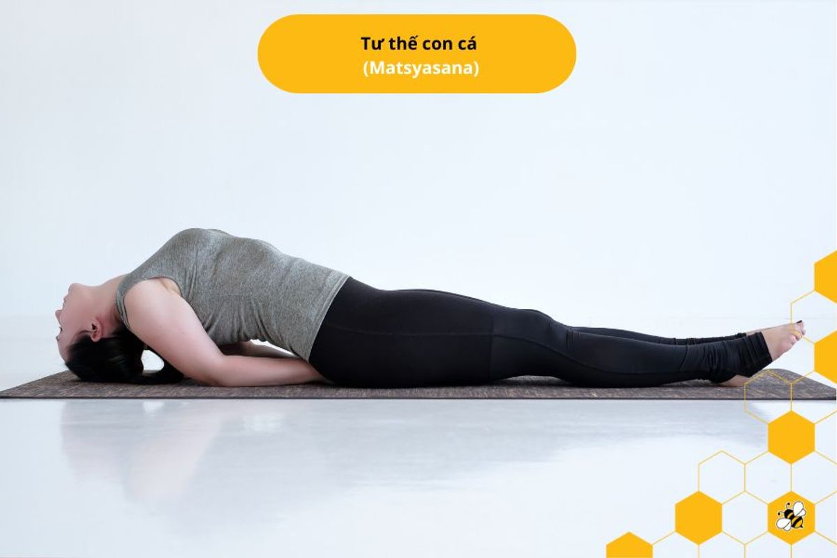 Tư thế con cá (Matsyasana)