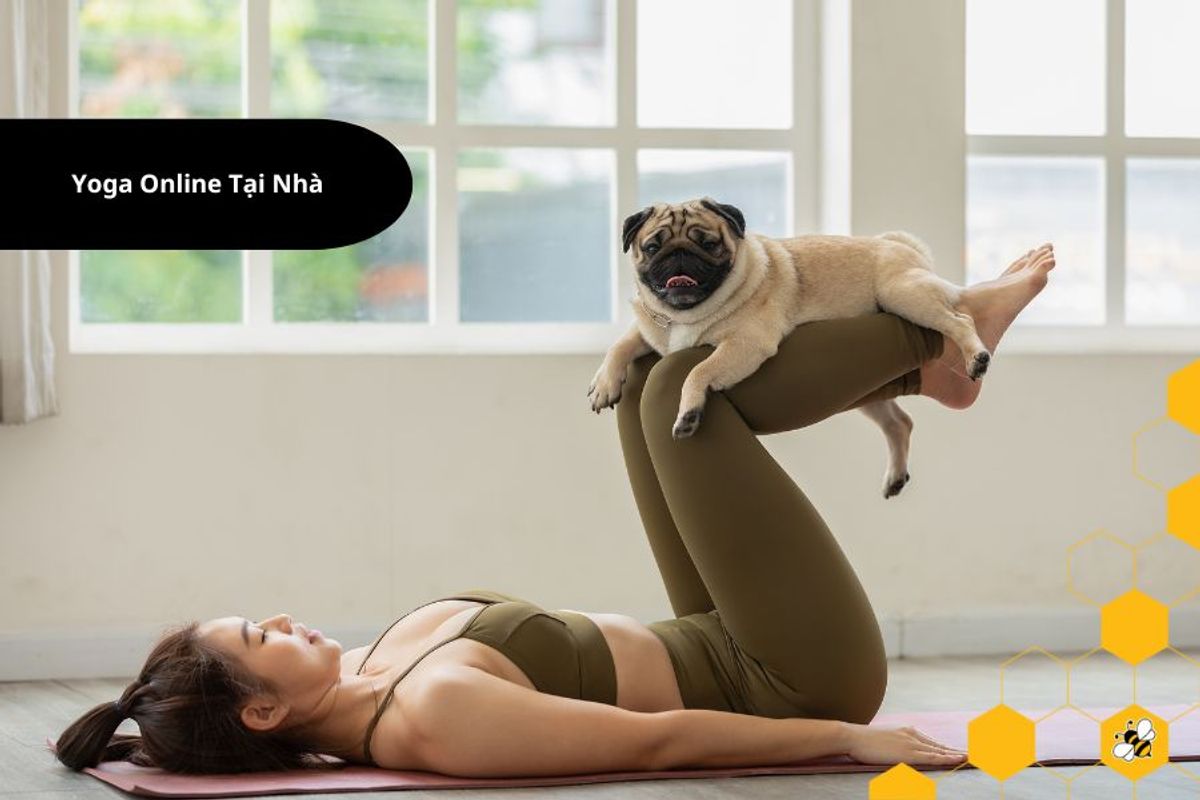 Yoga Online Tại Nhà
