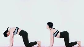 Tư thế con mèo - bò trong yoga là gì?