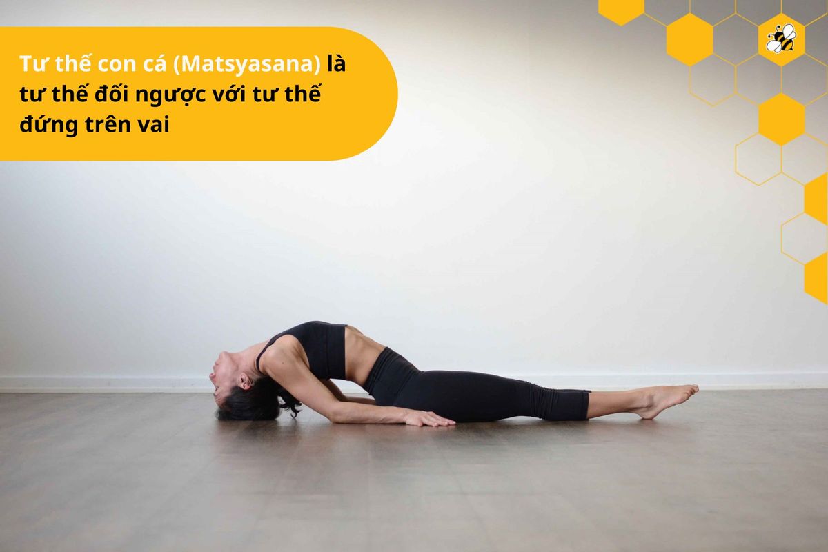 Tư thế con cá (Matsyasana)