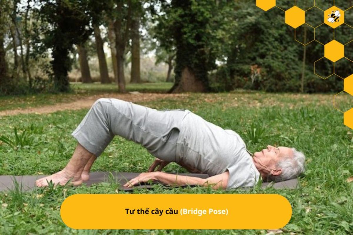 Tư thế cây cầu (Bridge Pose)