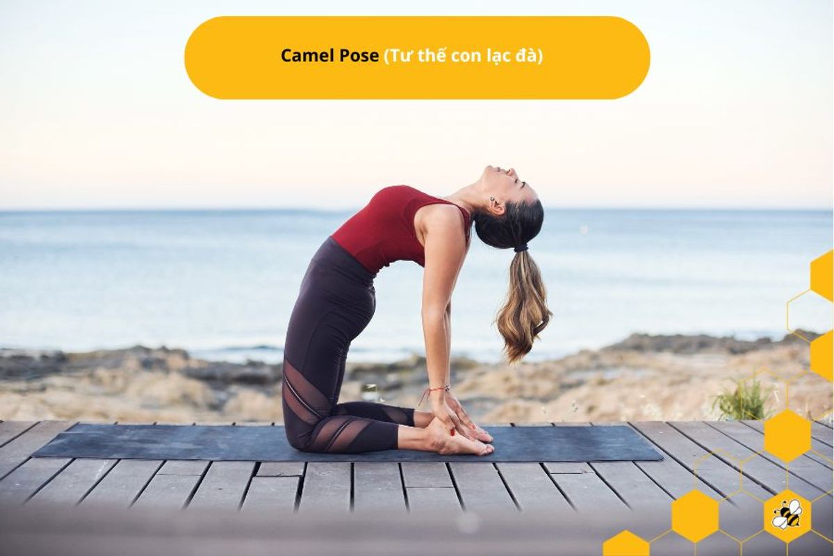 Camel Pose (Tư thế con lạc đà)