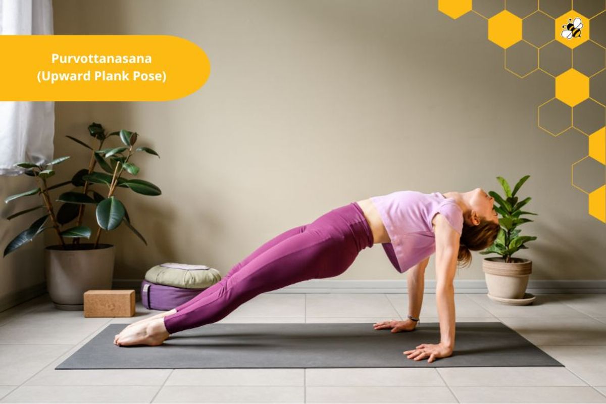 Purvottanasana (Upward Plank Pose)