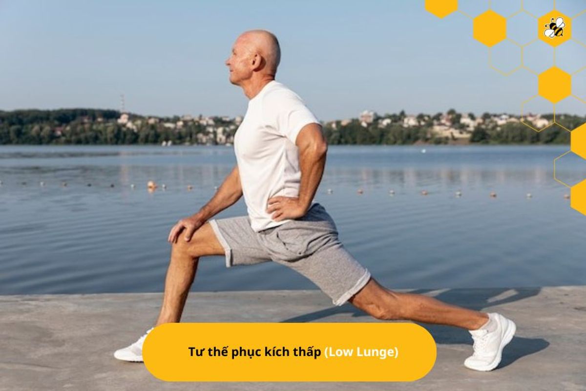 Tư thế phục kích thấp (Low Lunge)