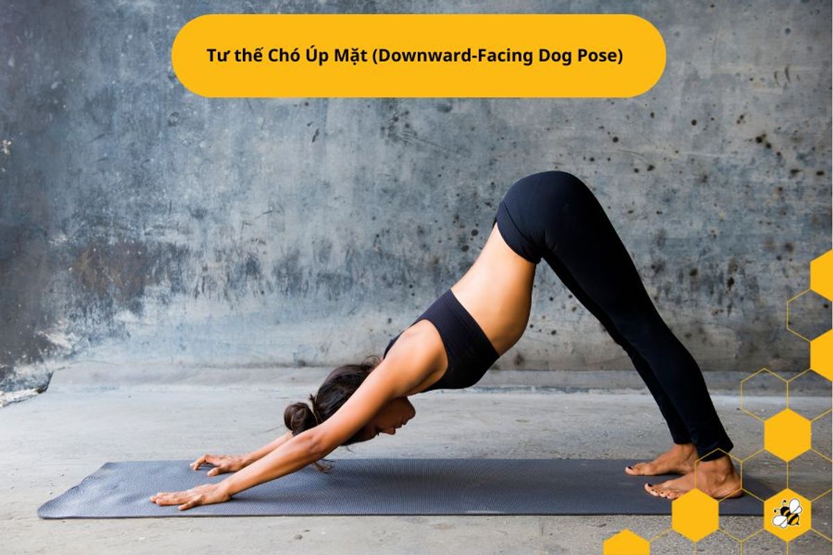 Tư thế Chó Úp Mặt (Downward-Facing Dog Pose)