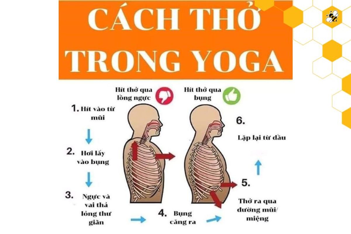 cách hít thở