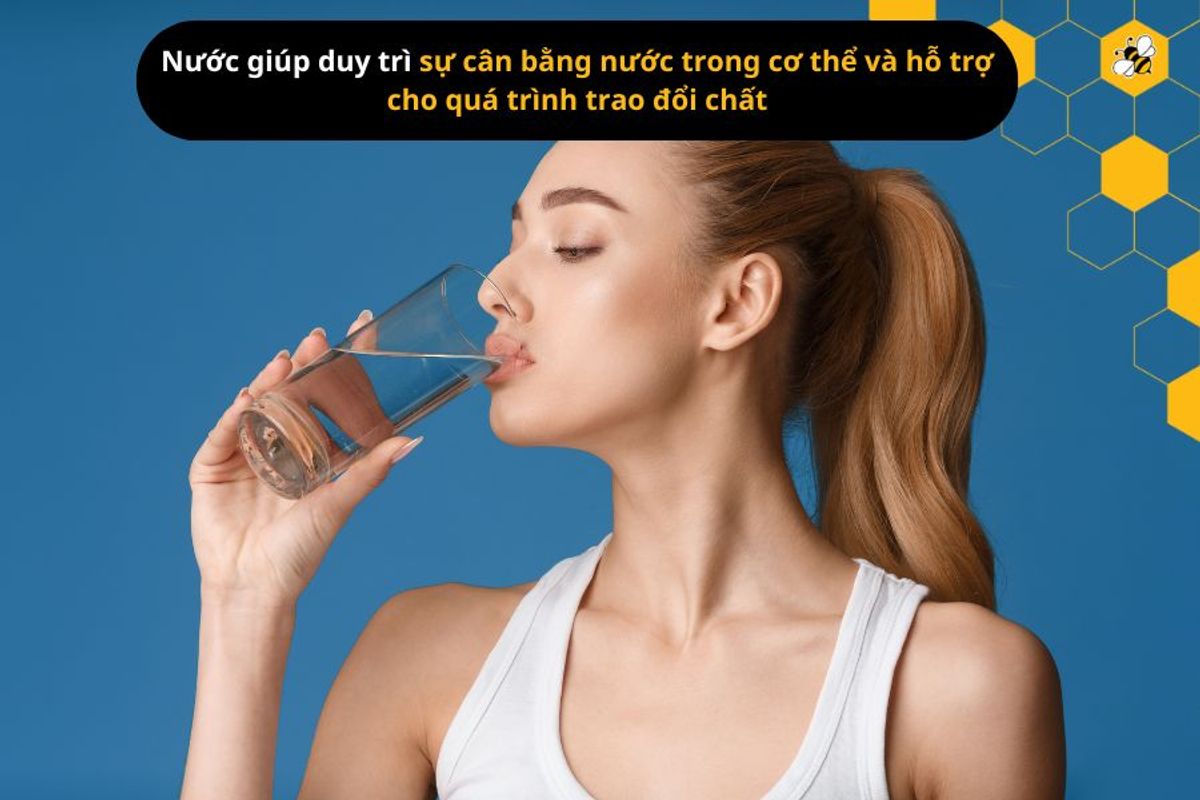 Nước giúp duy trì sự cân bằng nước trong cơ thể và hỗ trợ cho quá trình trao đổi chất
