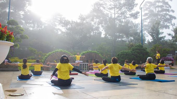 Yoga Khoẻ Đẹp