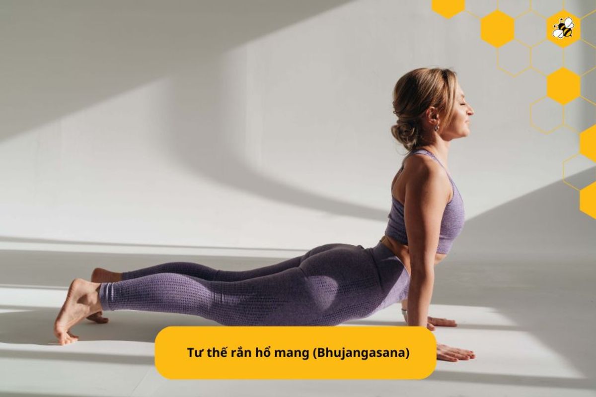 Tư thế rắn hổ mang (Bhujangasana)