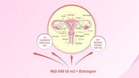 Yoga cân bằng nội tiết tố