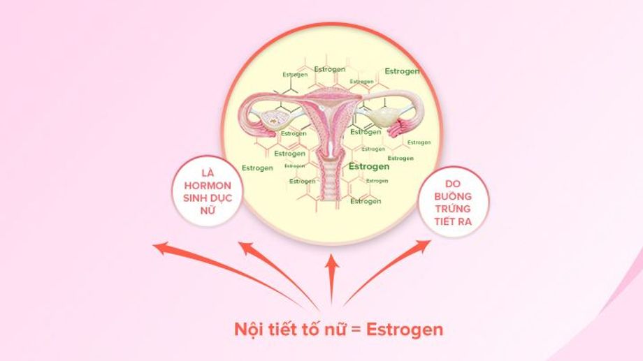 Yoga cân bằng nội tiết tố