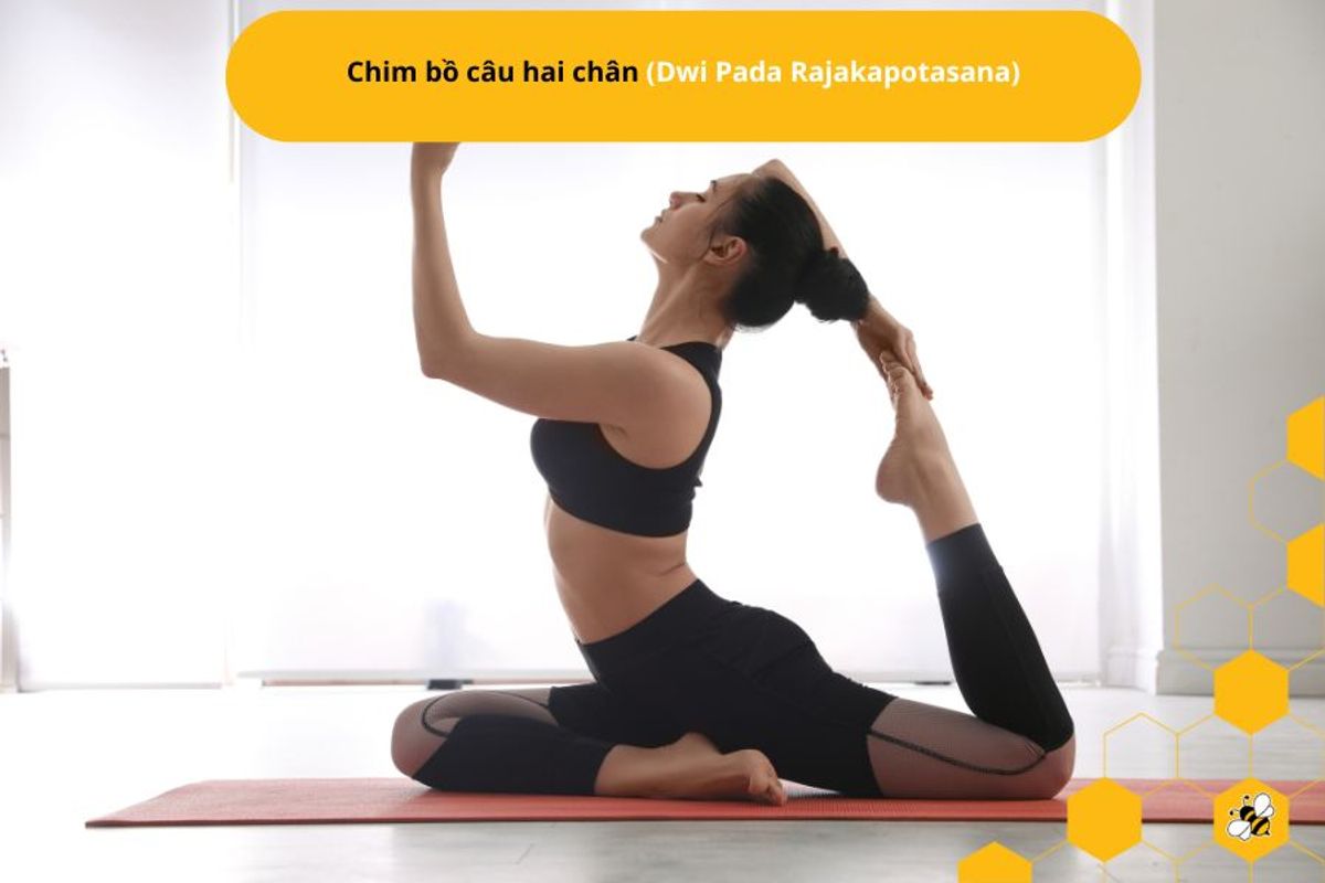 Chim bồ câu hai chân (Dwi Pada Rajakapotasana)