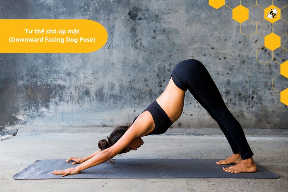 Tư thế chó úp mặt (Downward Facing Dog Pose)