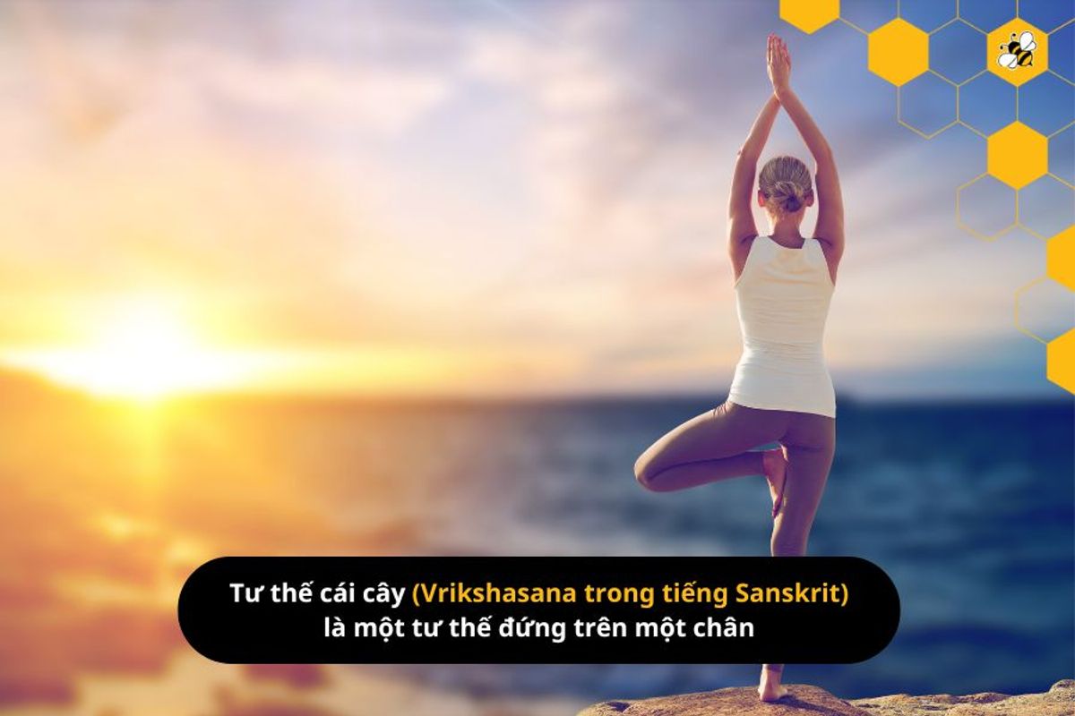 Tư thế cái cây (Vrikshasana trong tiếng Sanskrit) là một tư thế đứng trên một chân