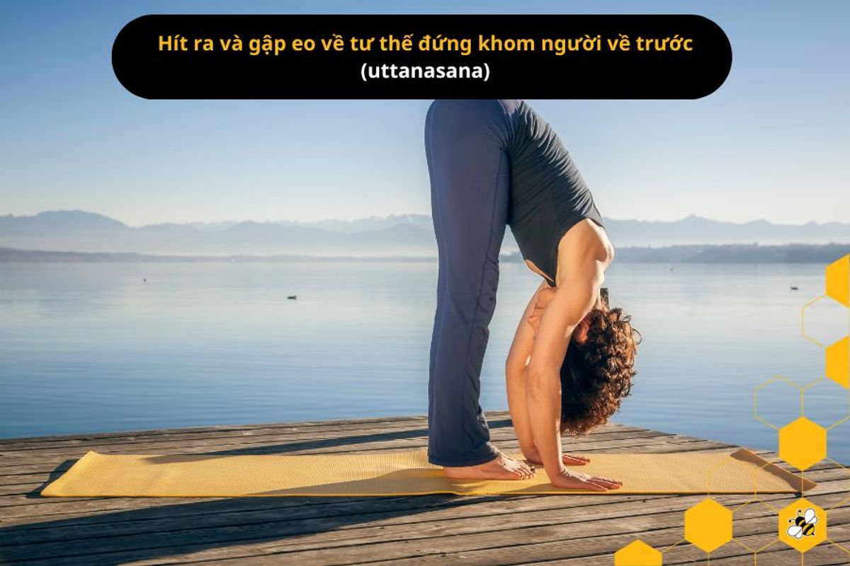 Hít ra và gập eo về tư thế đứng khom người về trước (uttanasana)