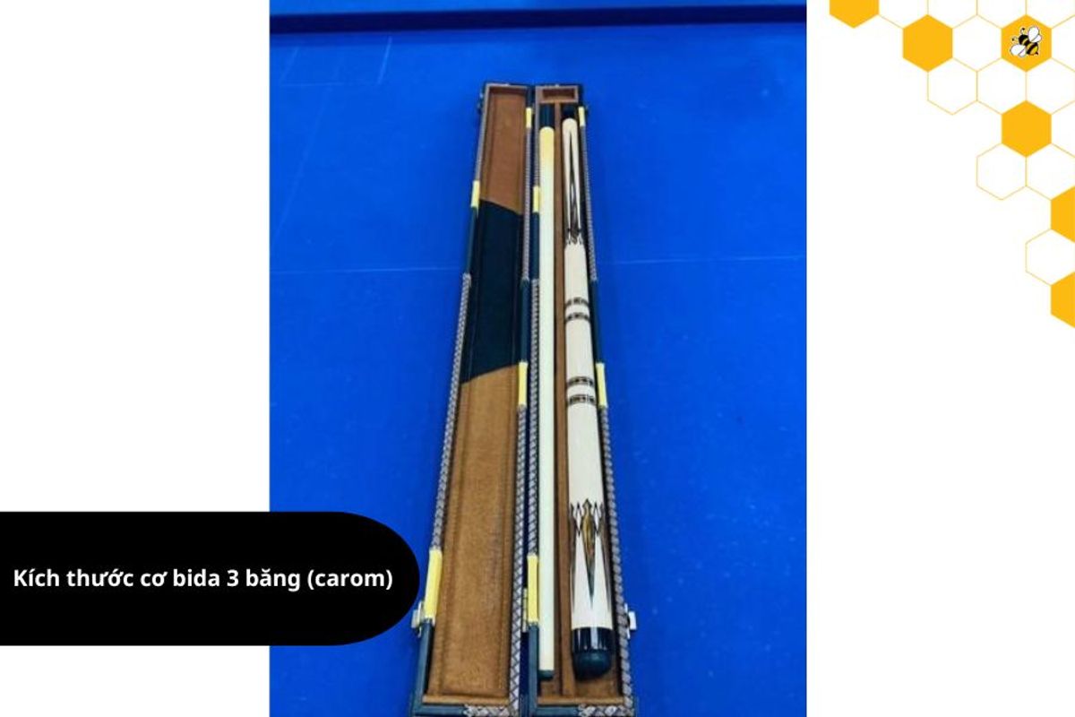 Kích thước cơ bida 3 băng (carom)