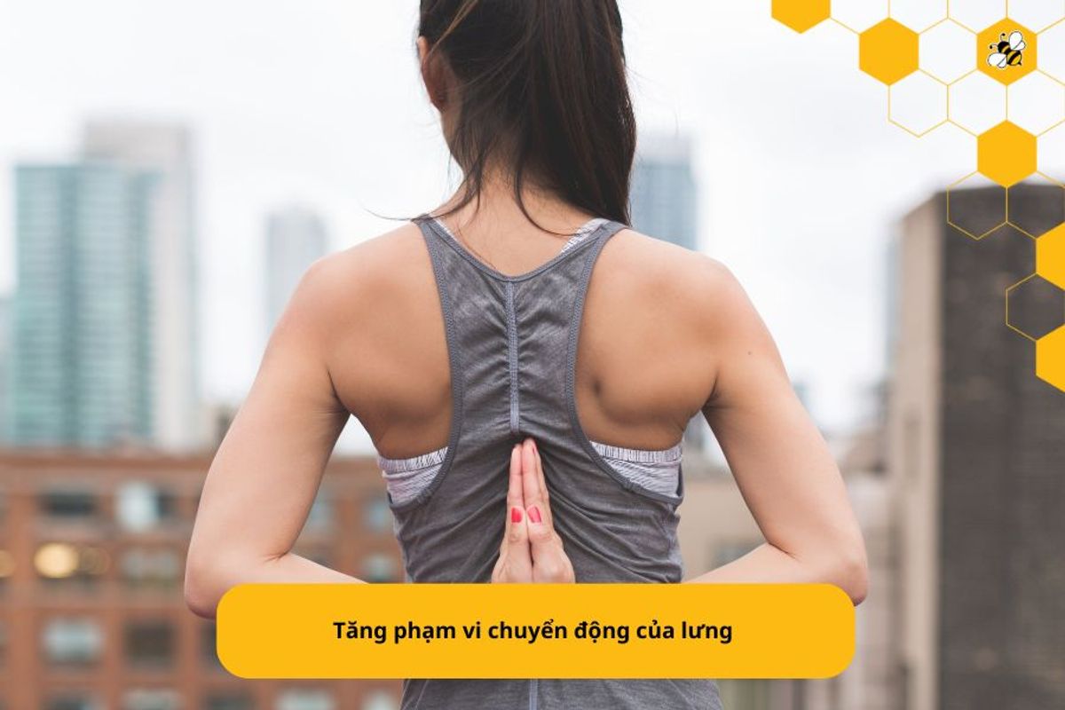 Tăng phạm vi chuyển động của lưng